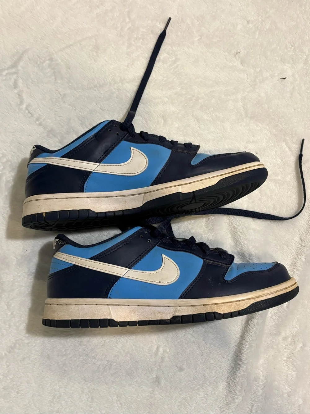 Nike Low-Top Sneakers in Sky Blue and Navy